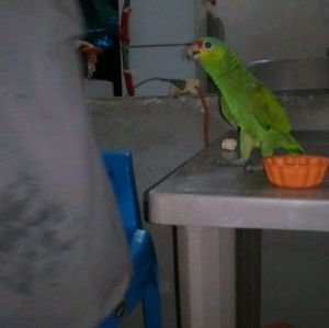 Meet your Posher, Doris